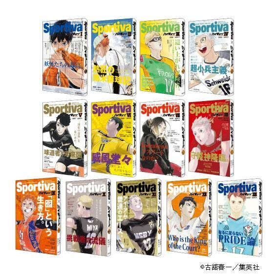 Haikyuu Shousetsu ban sportiva collaboration cover Novel Limited Vol1-13 Japan