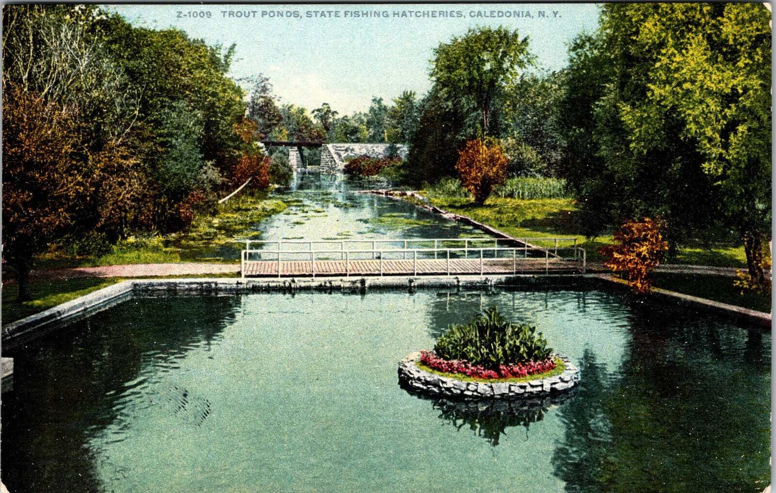 Trout Ponds State Fishing Hatcheries Caledonia New York Vintage Postcard 