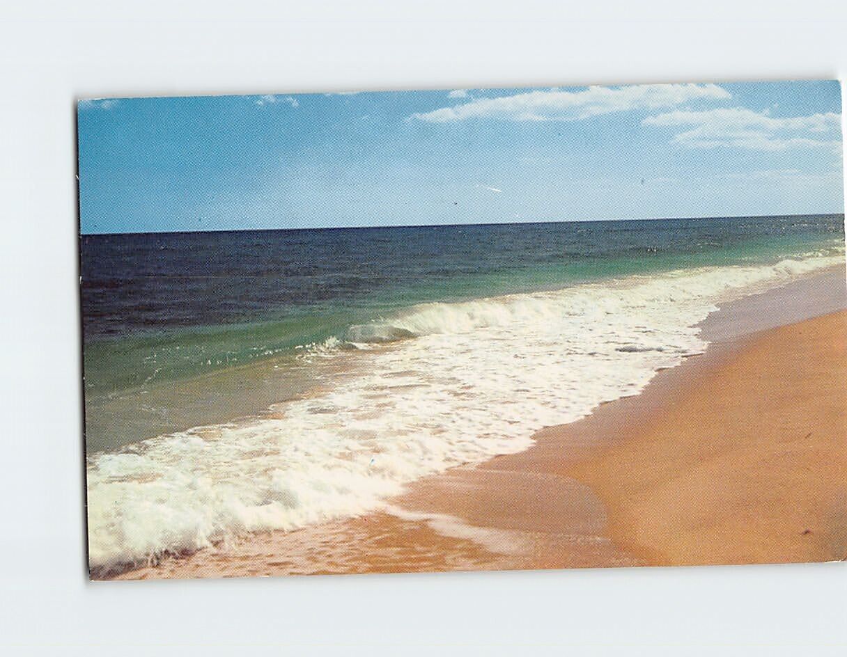 Postcard Surf