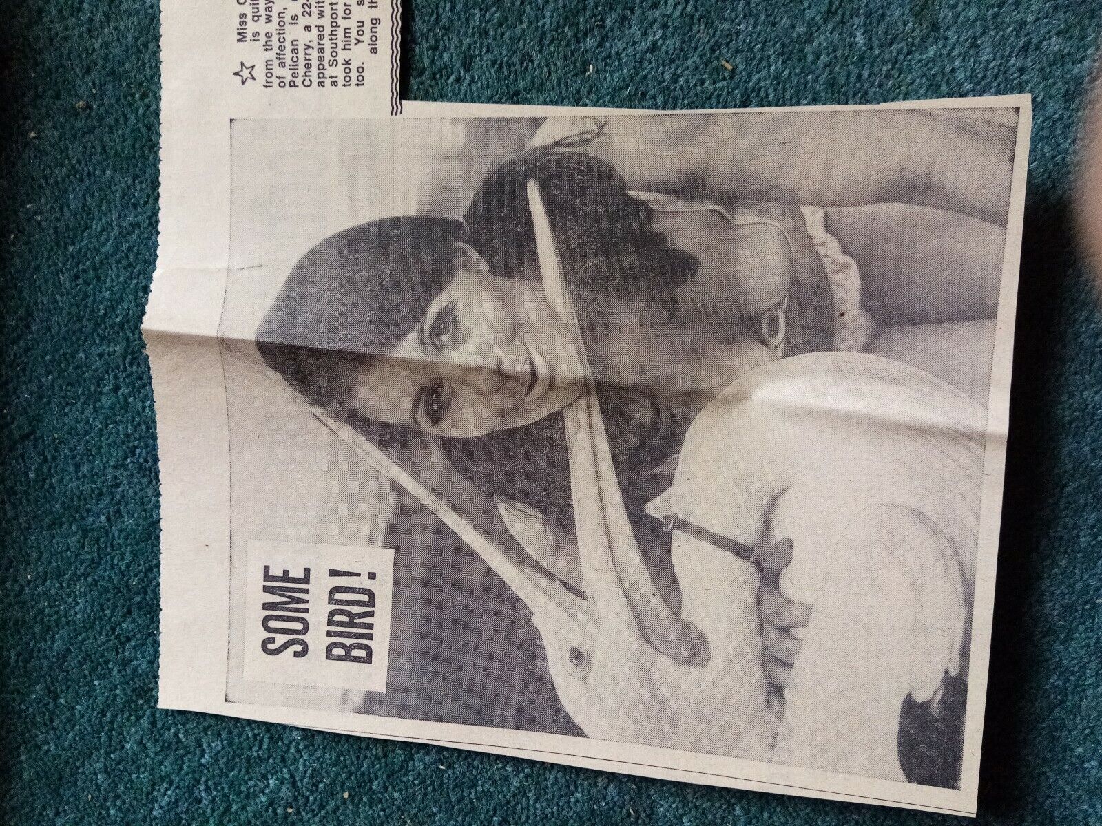 Sa16 Ephemera 1969 article cherry Roland singer