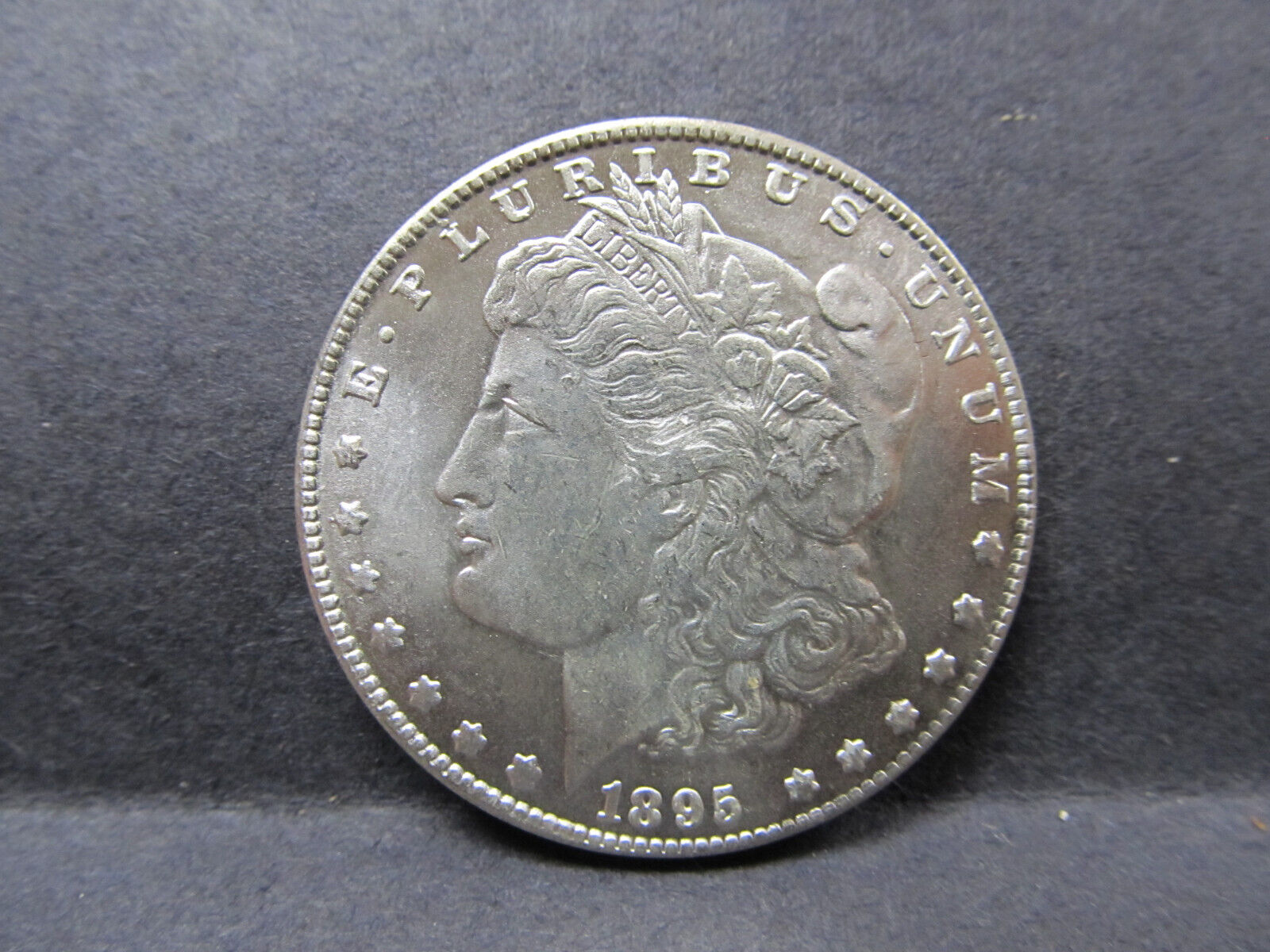 1895 Two Face  Morgan DOLLAR  Double Headed Two Face Magic  Coin