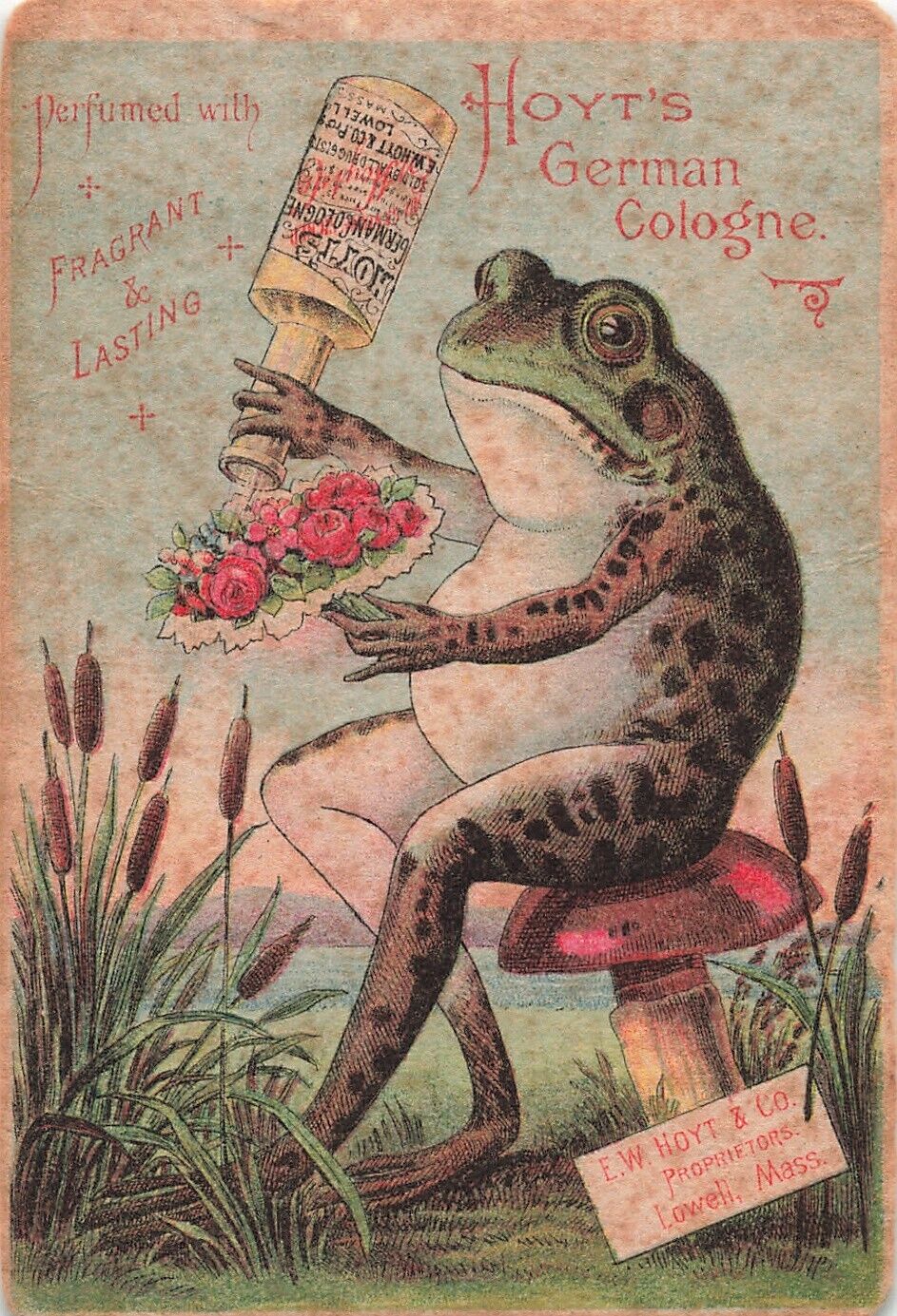Anthropomorphic Frog Victorian Trade Card c1880s FW Hoyt German Cologne  *Ab9c