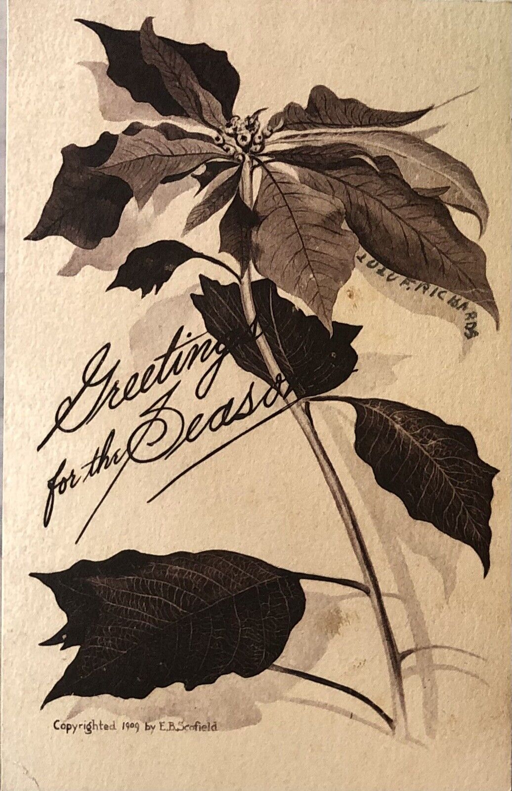 postcard Vintage. Season Greeting   E B Scofield Artist. 1909