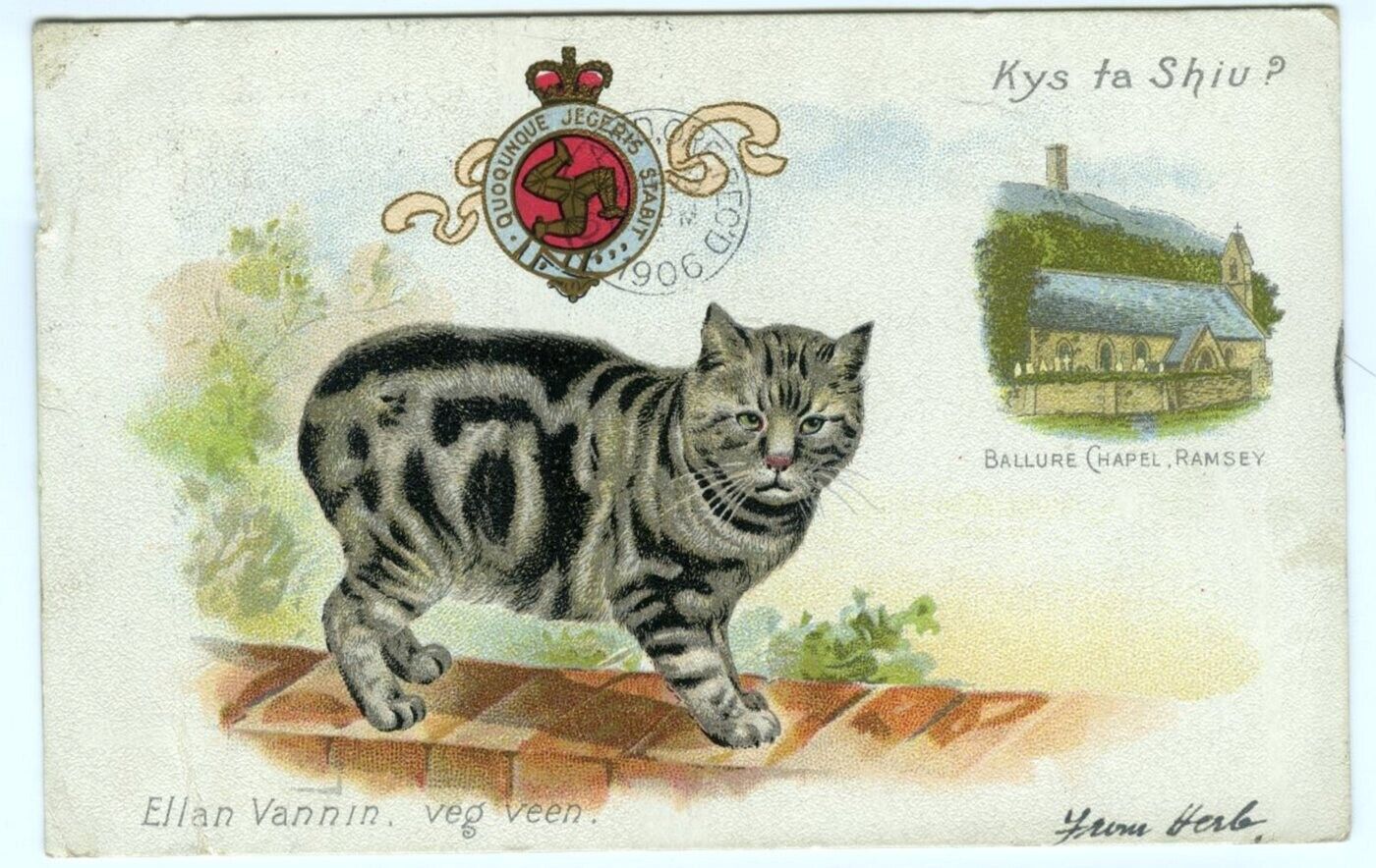 Manx Cat on Brick Wall Vintage Postcard