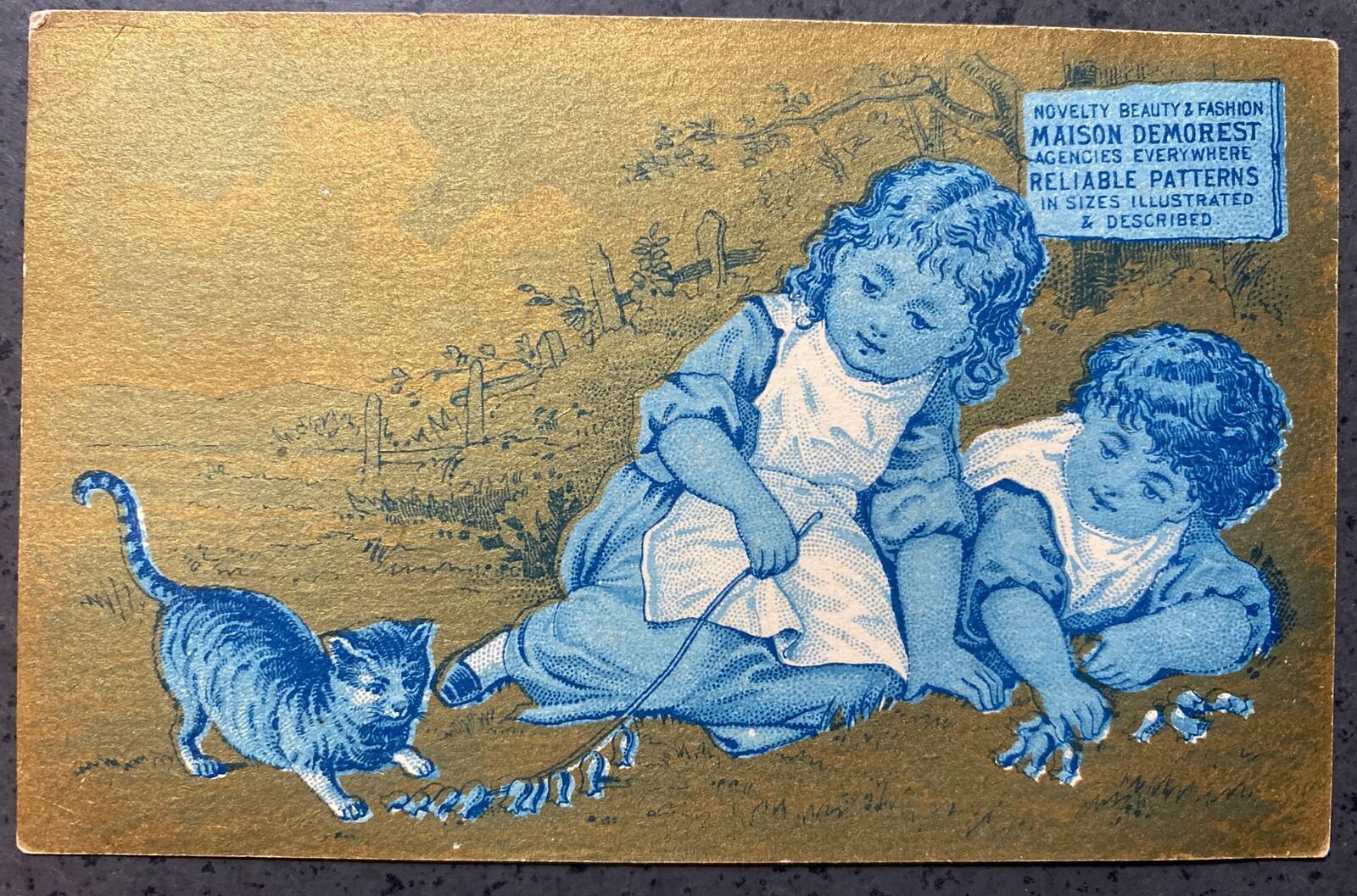 Demorest\'s Illustrated  Monthly Magazine  -Victorian Trade Card- Kitten 1880s