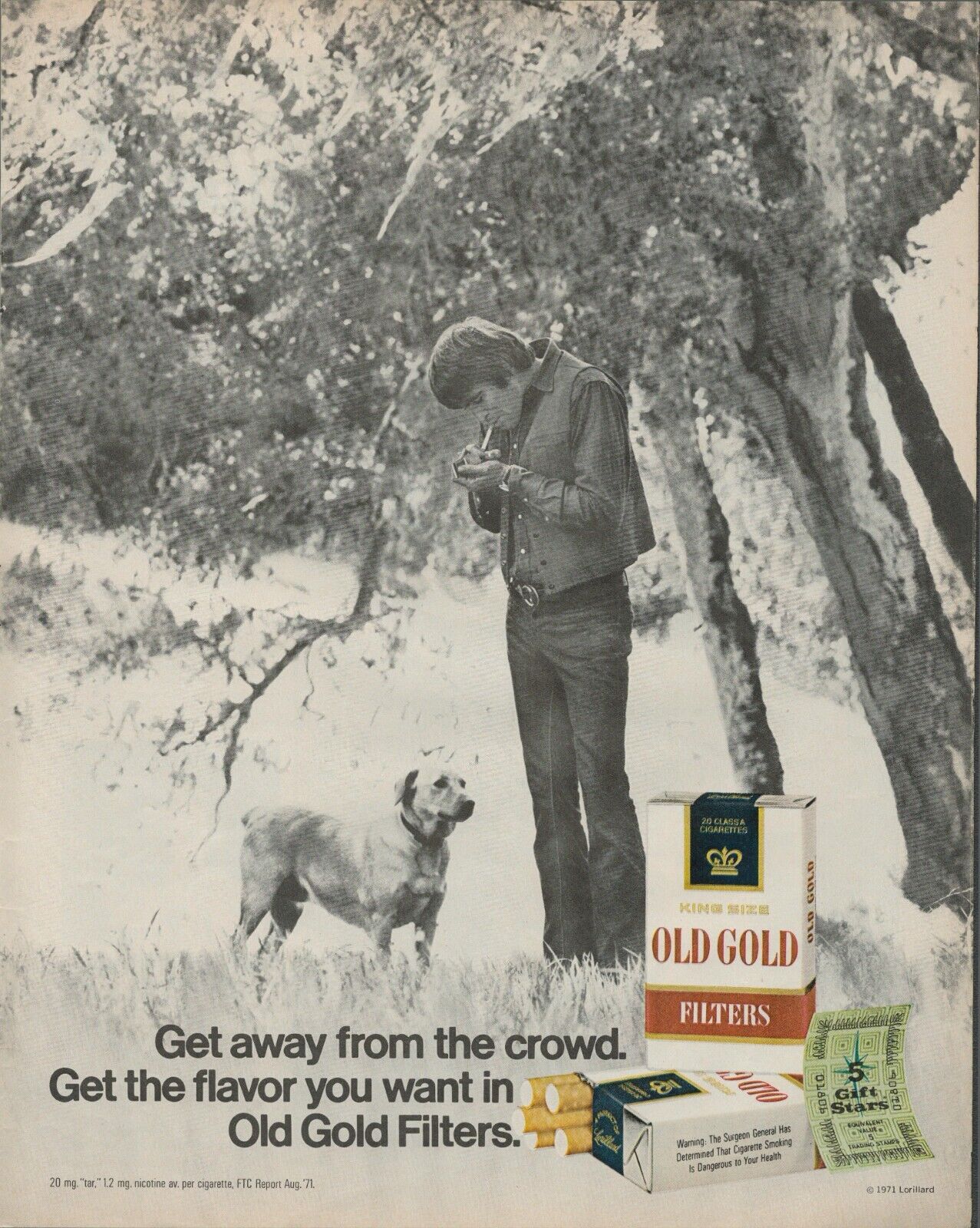 1971 Old Gold Filter Cigarettes Get Away From The Crowd Man Dog Print Ad