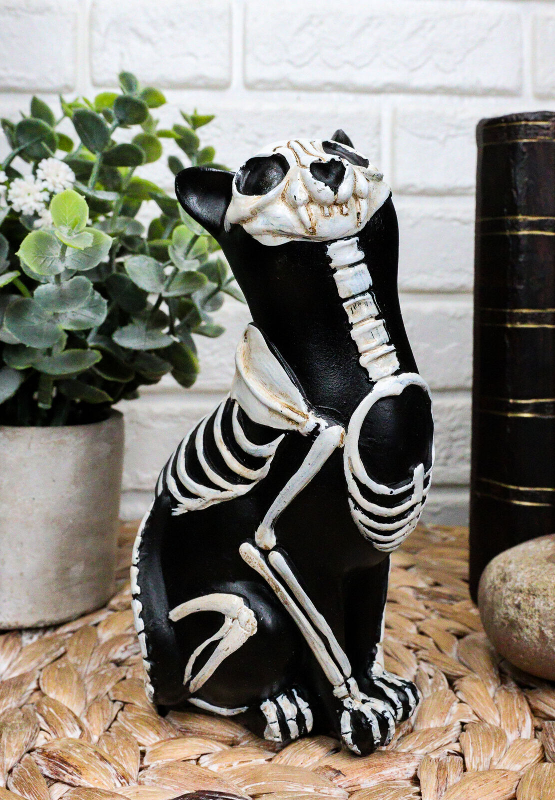 Ebros DOD Skeleton Cat Statue Halloween X-Ray Decor Crazy for Cats (Male Cat)