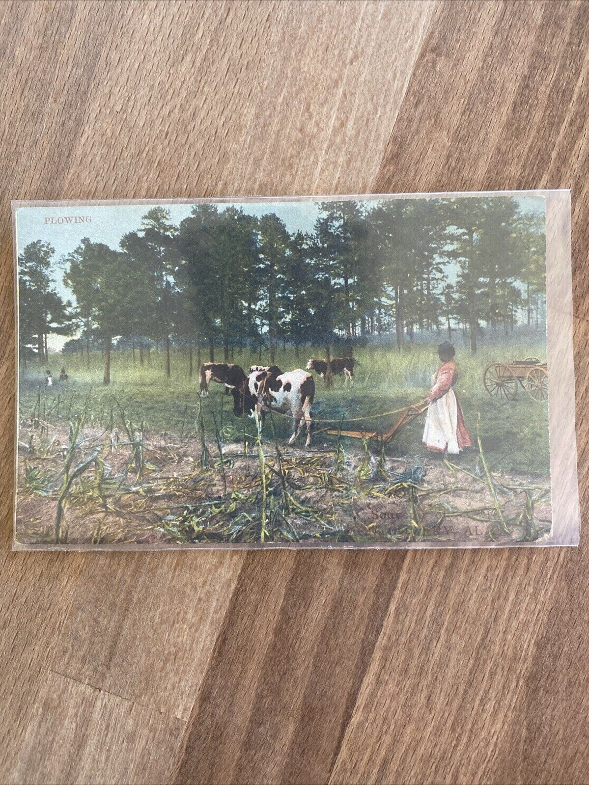 Black Americana “Plowing” Vintage Linen Postcard