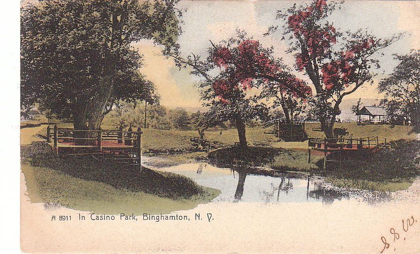 Postcard In Casino Park Binghamton NY 