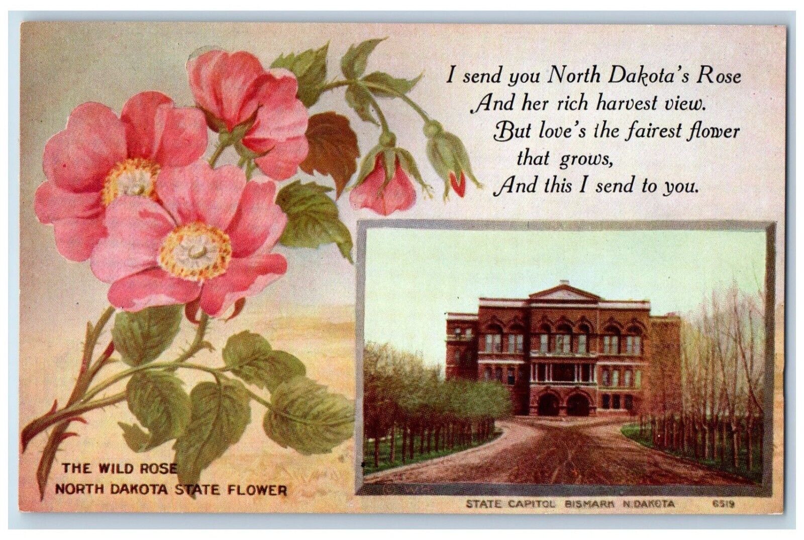 Bismarck ND Postcard State Capitol Building Wild Rose North Dakota State Flower
