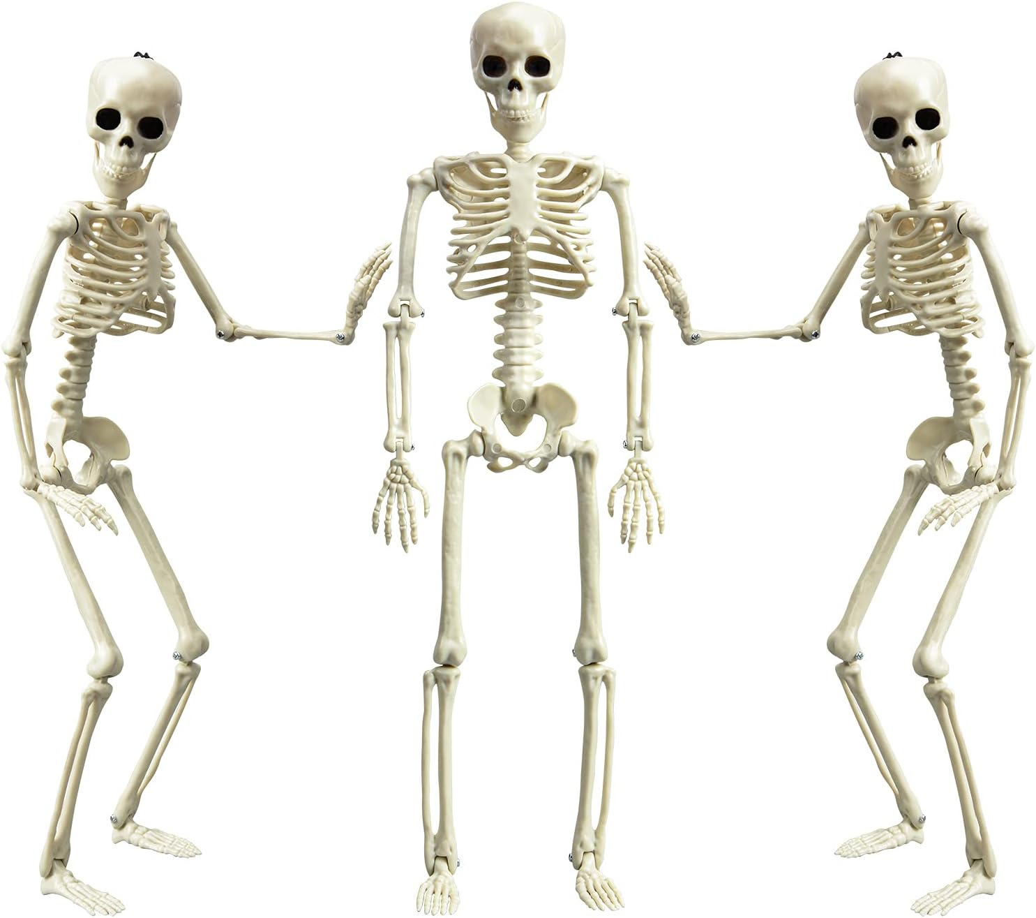 16” Posable Halloween Skeleton- Full Body Halloween Skeleton with Movable Joints