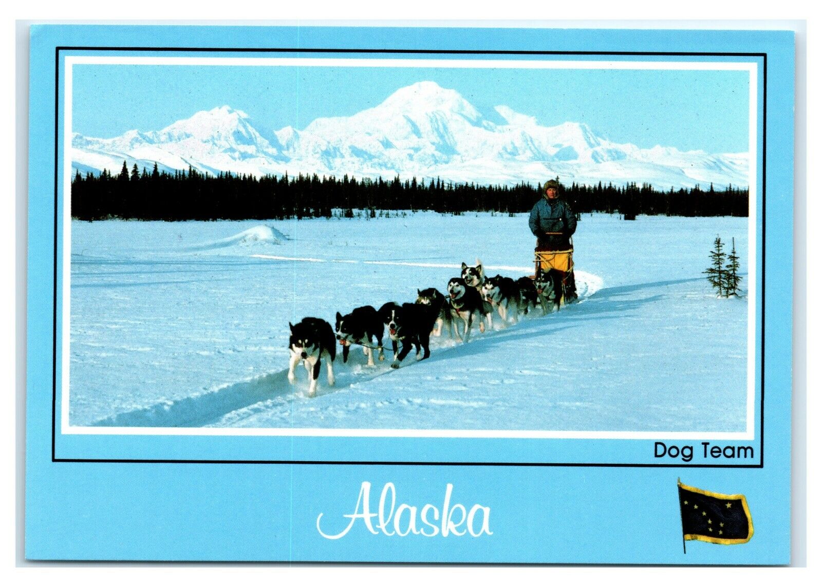 Postcard AK Alaska Dog Team AJ2