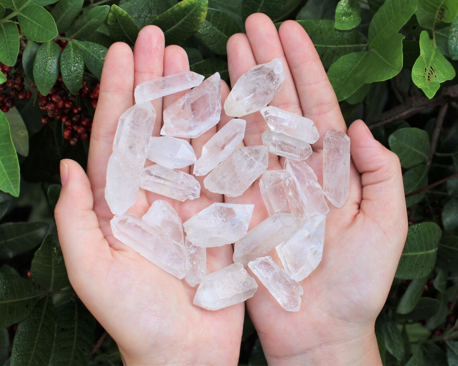 1000 Carat Lot Natural Clear Quartz Points (18 - 26 Crystals) Reiki Healing Wand