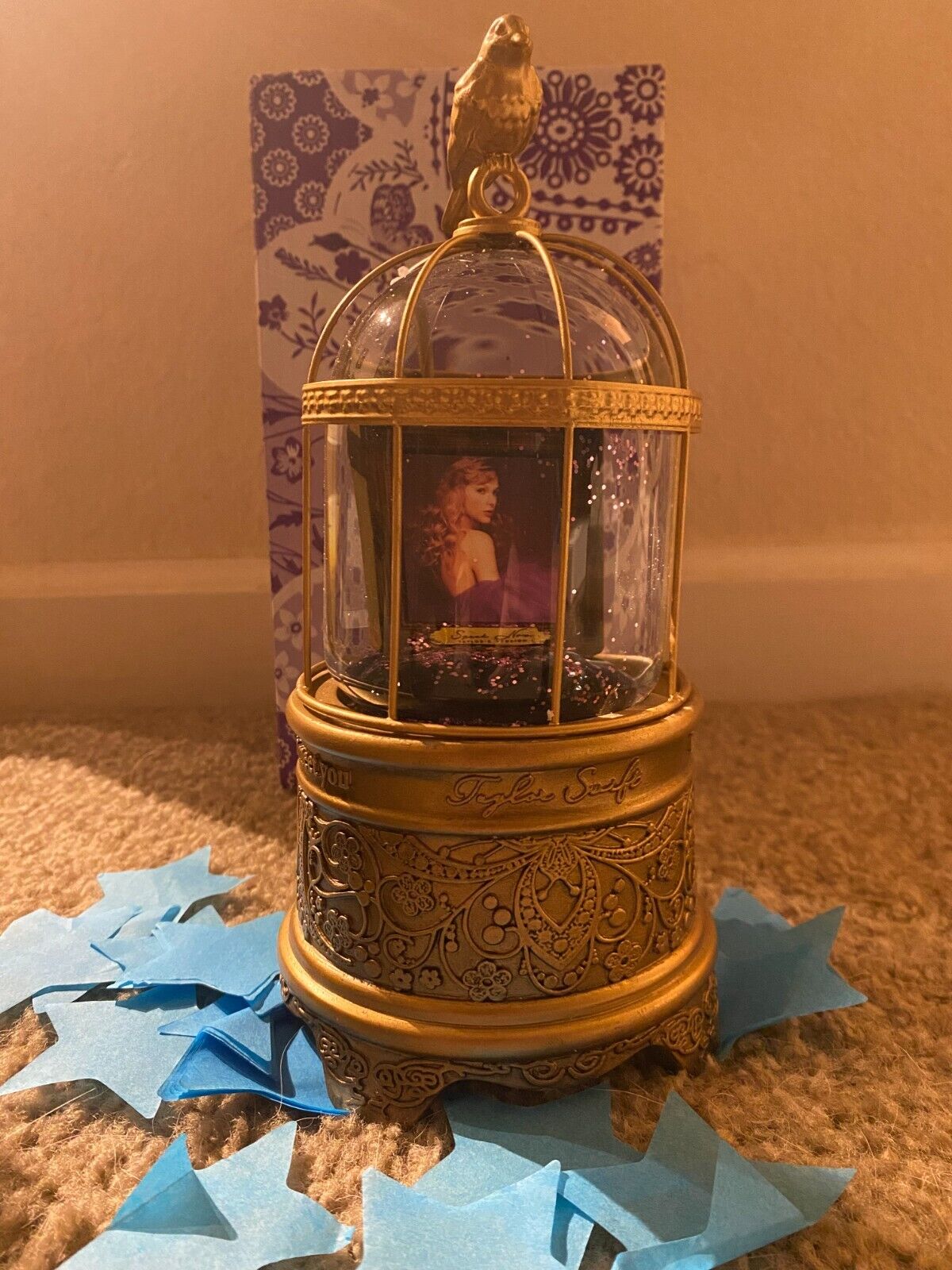 Speak Now (Taylor's Version) Frame Snow Globe 💜 | IN HAND - Ready to Ship