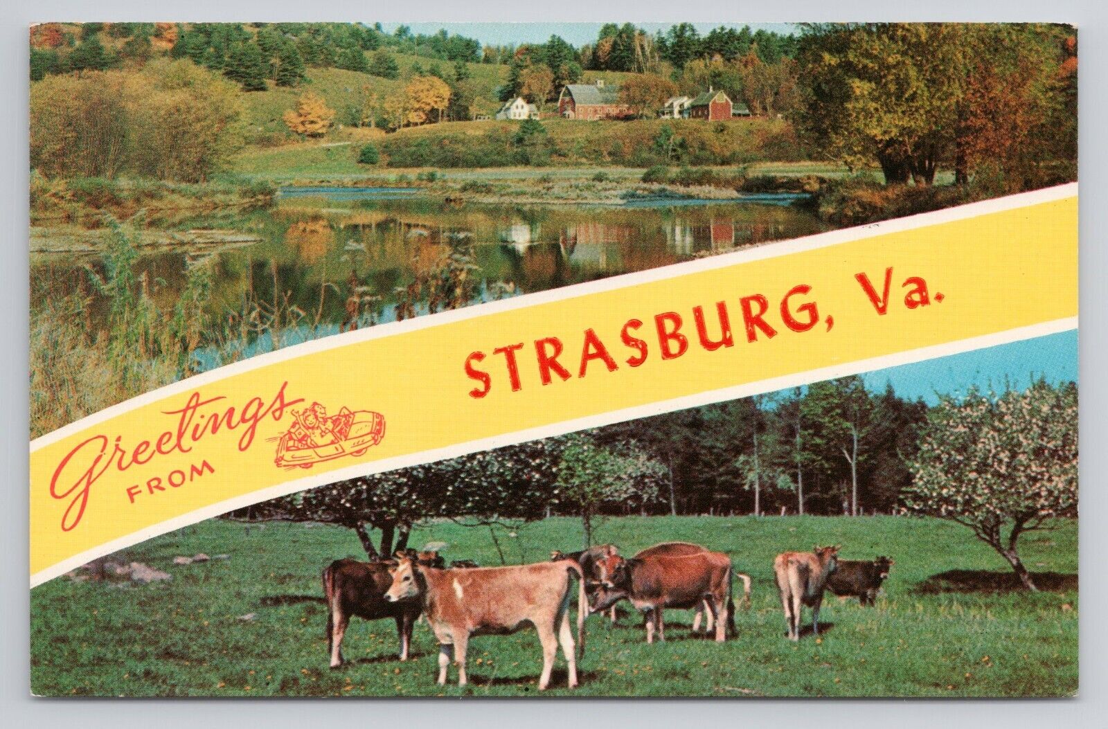 Greetings From Strasburg Va Chrome Postcard 1056