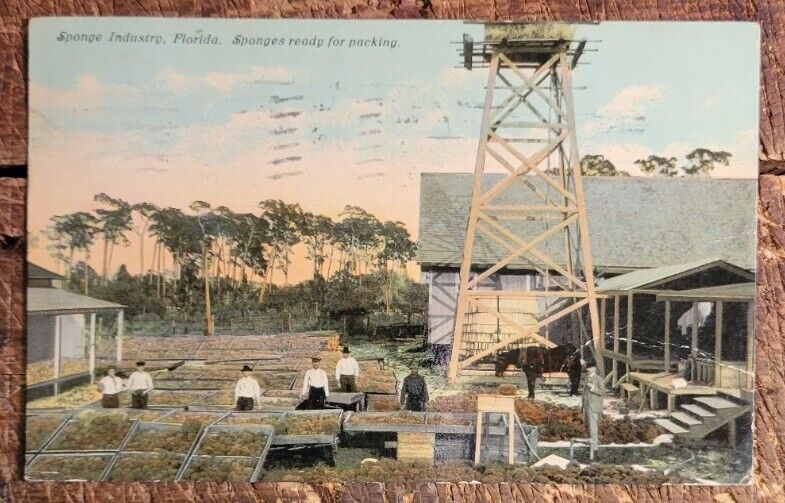 Sponge Industry, Florida - Sponges Ready for Packing - C.1907-1915 Postcard