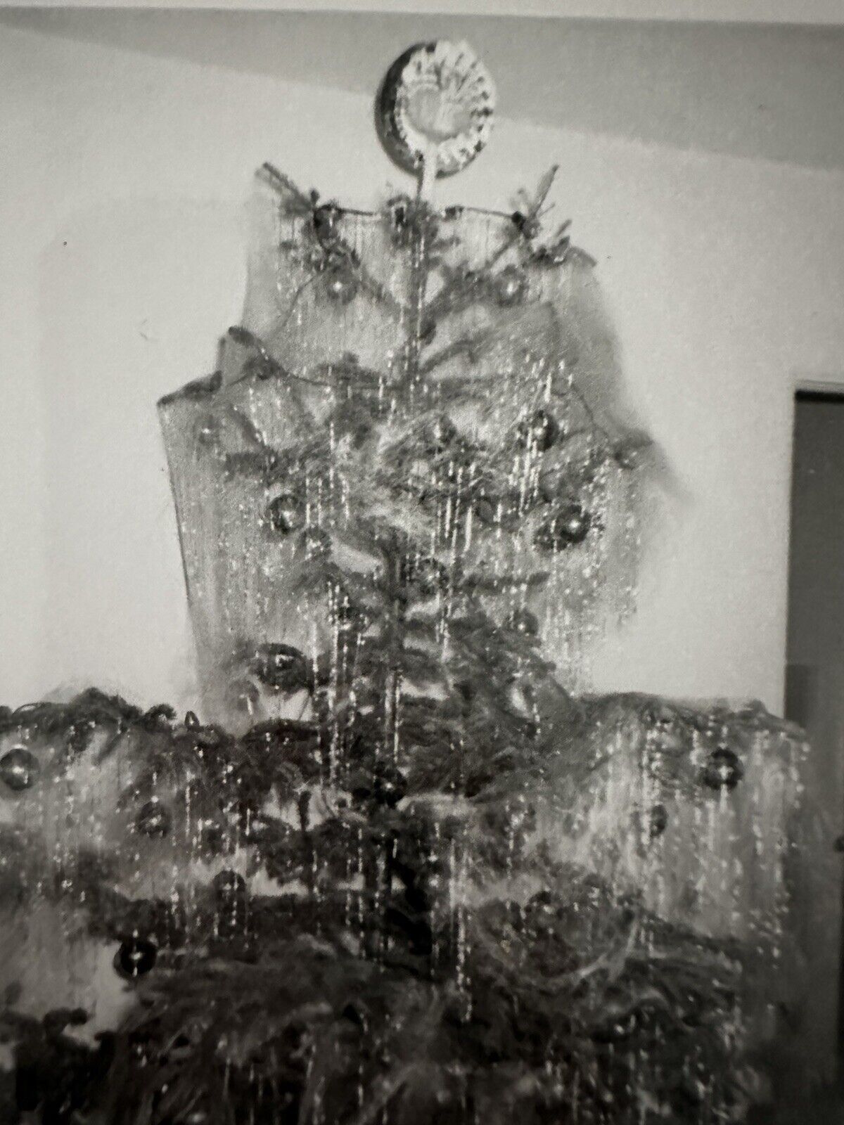 Photograph Christmas  Tree Decorated Black & White Snapshot