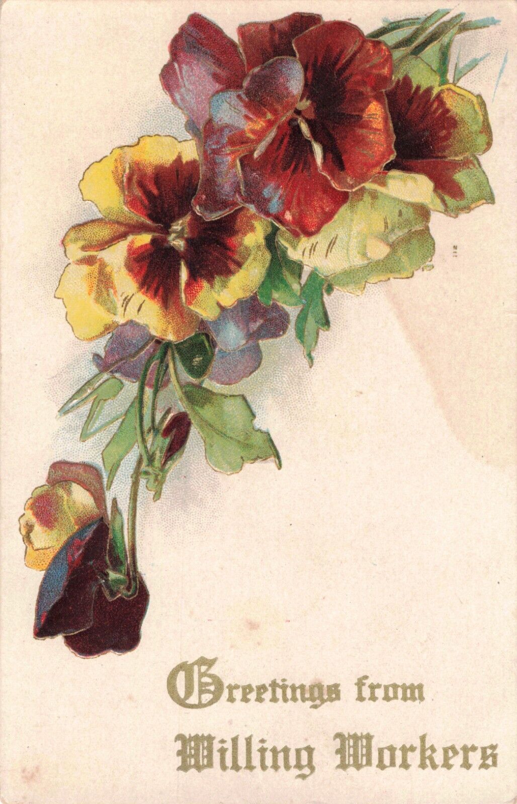 Greetings from Willing Workers Beautiful Flowers Embossed c.1909 Postcard A491