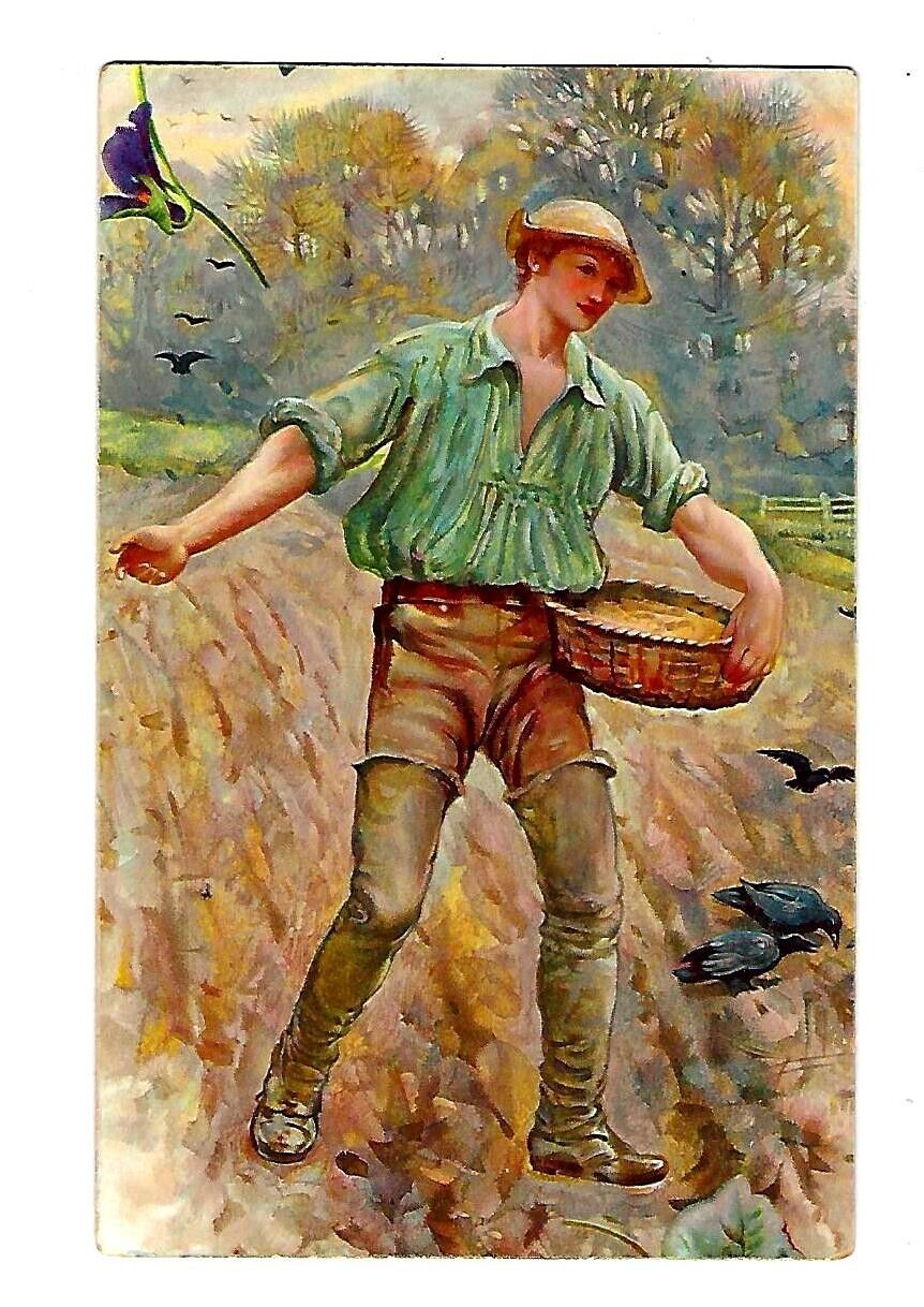 VTG Early 1900's Nister Series #10 Postcard Man With a Basket of Seeds-Birds