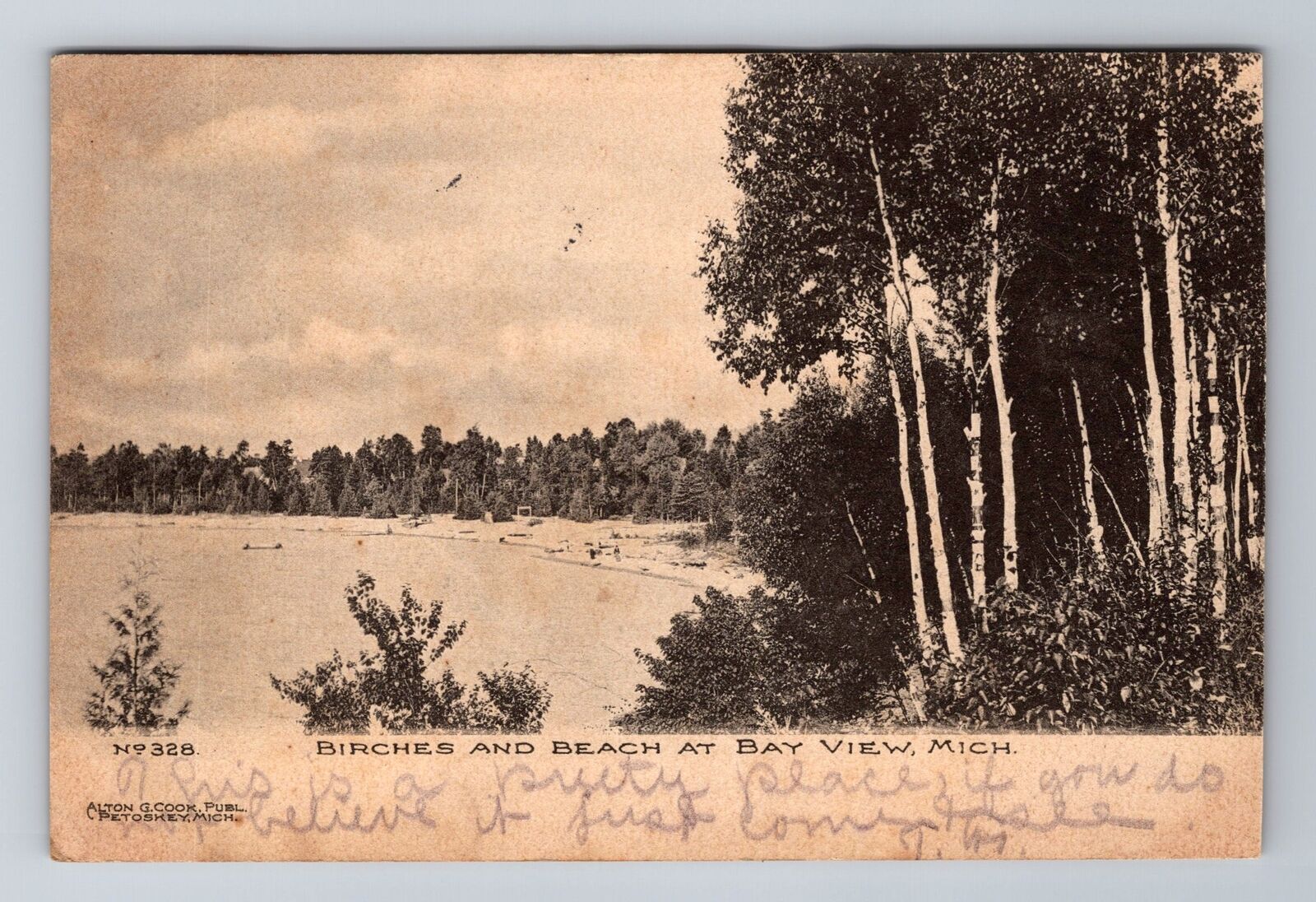 Bay View MI-Michigan, Birches And Beach, Antique Vintage c1907 Postcard