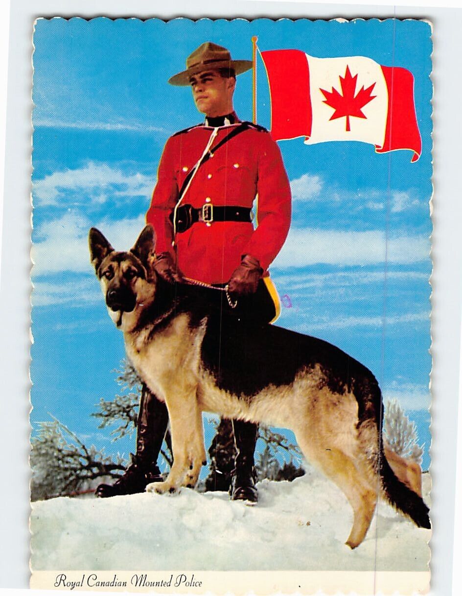 Postcard Royal Canadian Mounted Policeman with Dog Canada