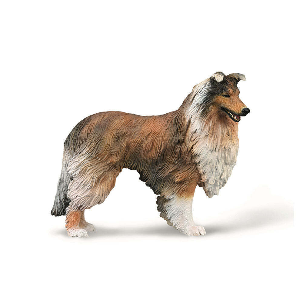 CollectA Realistic Animal Replica Rough Collie Figure Large Ages 3+ and Up