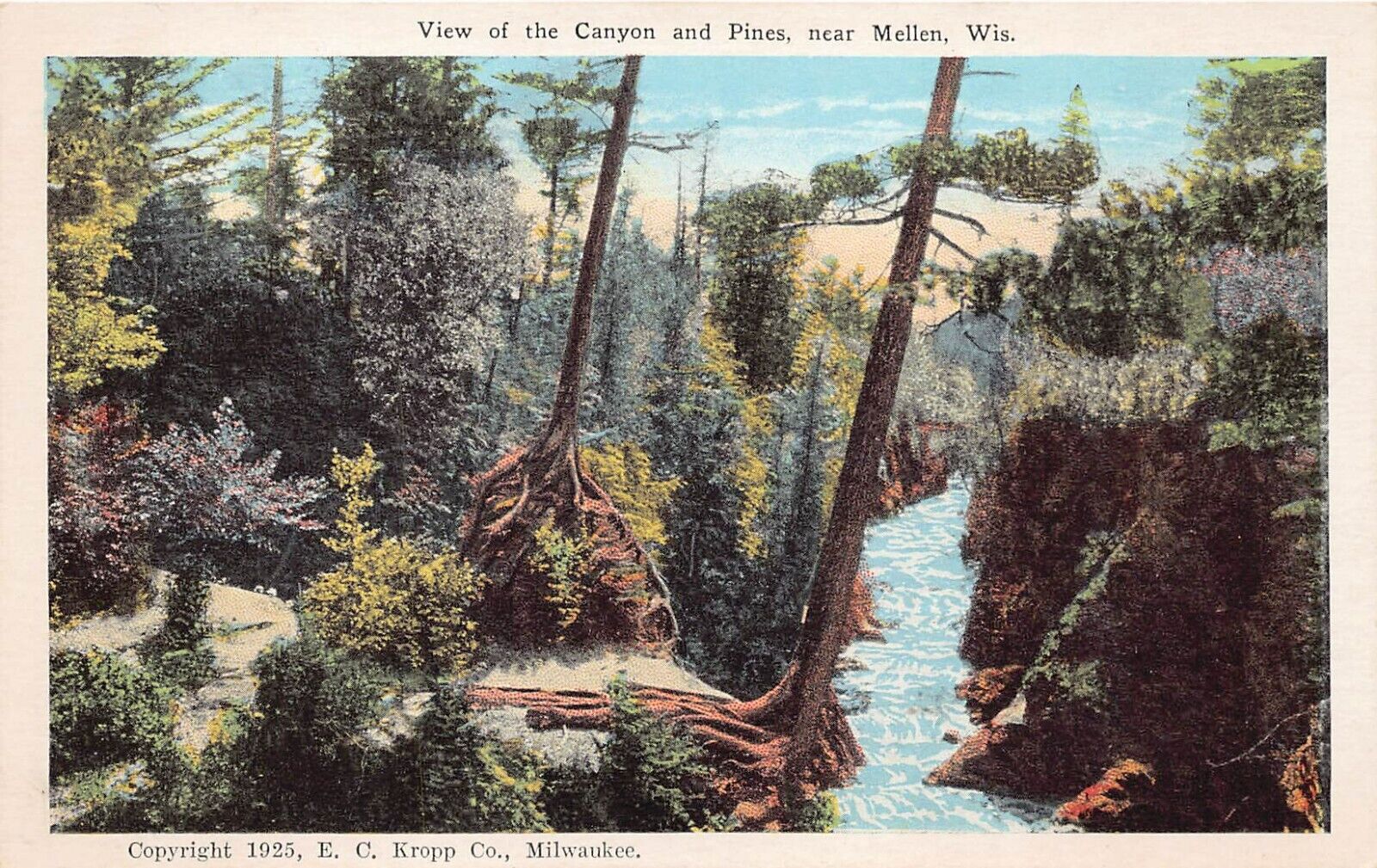 Mellen WI Wisconsin Gorge of Tyler Forks Bad River Canyon Pine Vtg Postcard A9