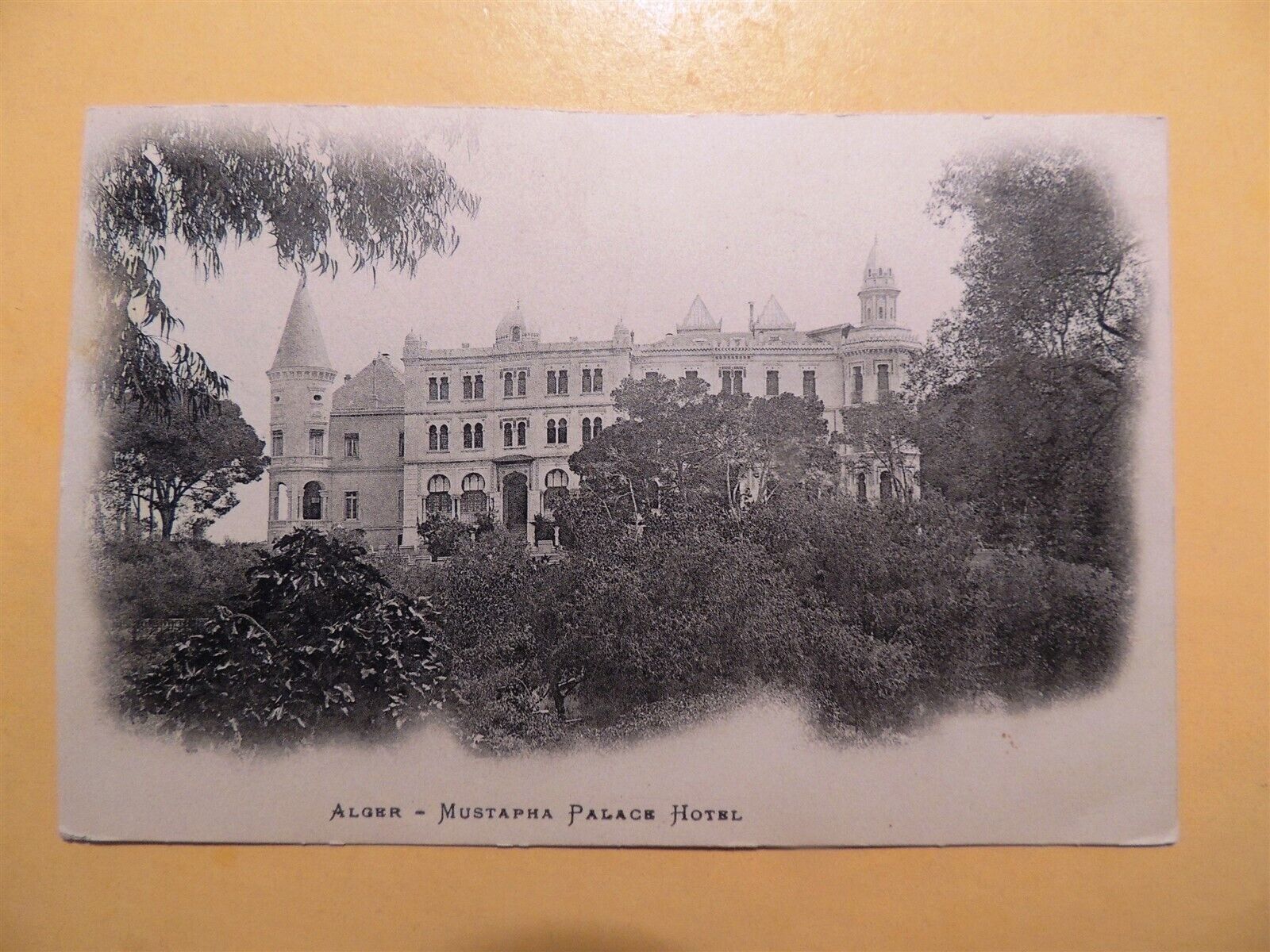 Mustapha Palace Hotel Algiers Algeria vintage postcard 