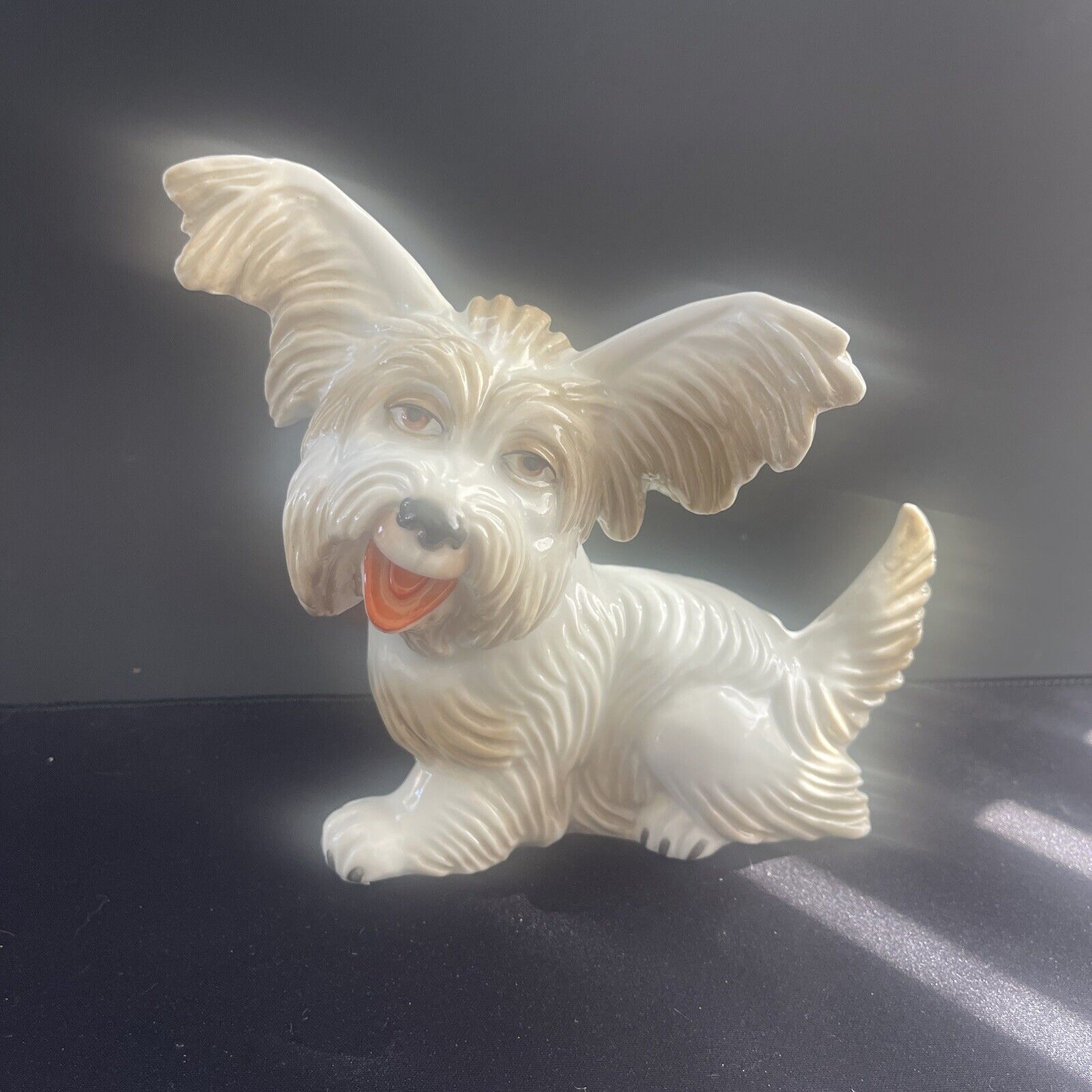 SKYE SILKY PAPILLON BRIARD ROSENTHAL GERMANY terrier dog figurine 9\