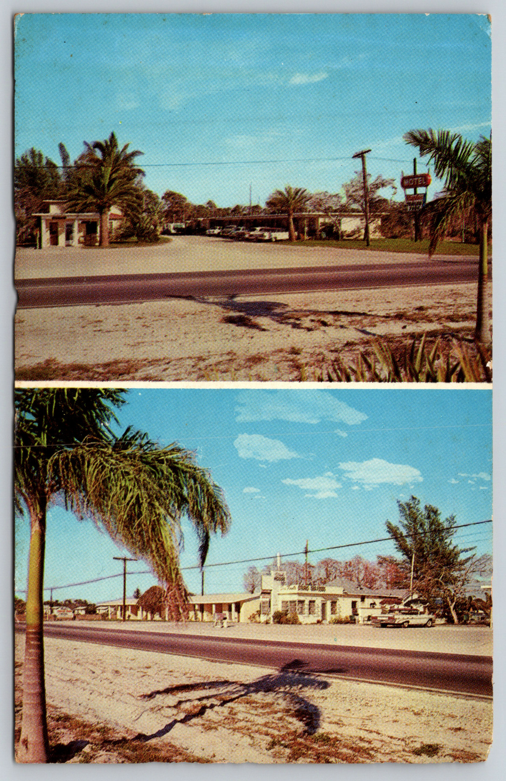 NAPLES TRAILER PARK & MOTEL U.S. 41 NORTH , NAPLES FLORIDA Vintage Postcard
