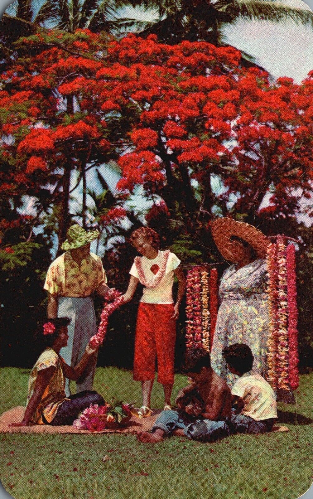 Postcard HI Lei Seller & Helpers Royal Poinciana Tree 1954 Vintage PC G8230