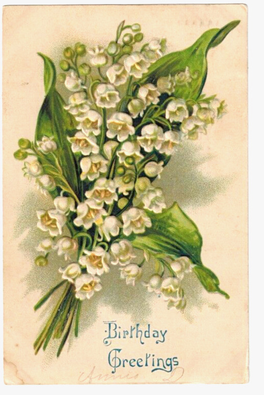 Highly Embossed Birthday Postcard dated 1908