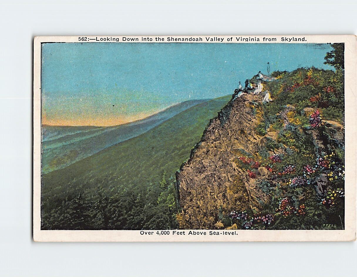 Postcard Looking Down into the Shenandoah Valley of Virginia from Skyland USA