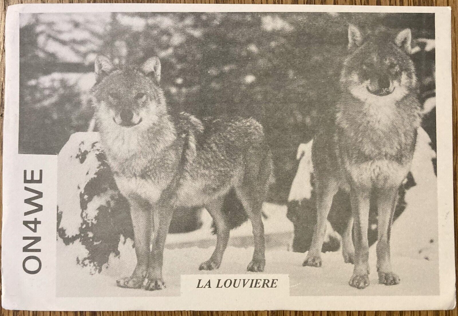 QSL Card - La Louviere, Belgium - Jean-Marie Lejeune - ON4WE - 1987 - Postcard