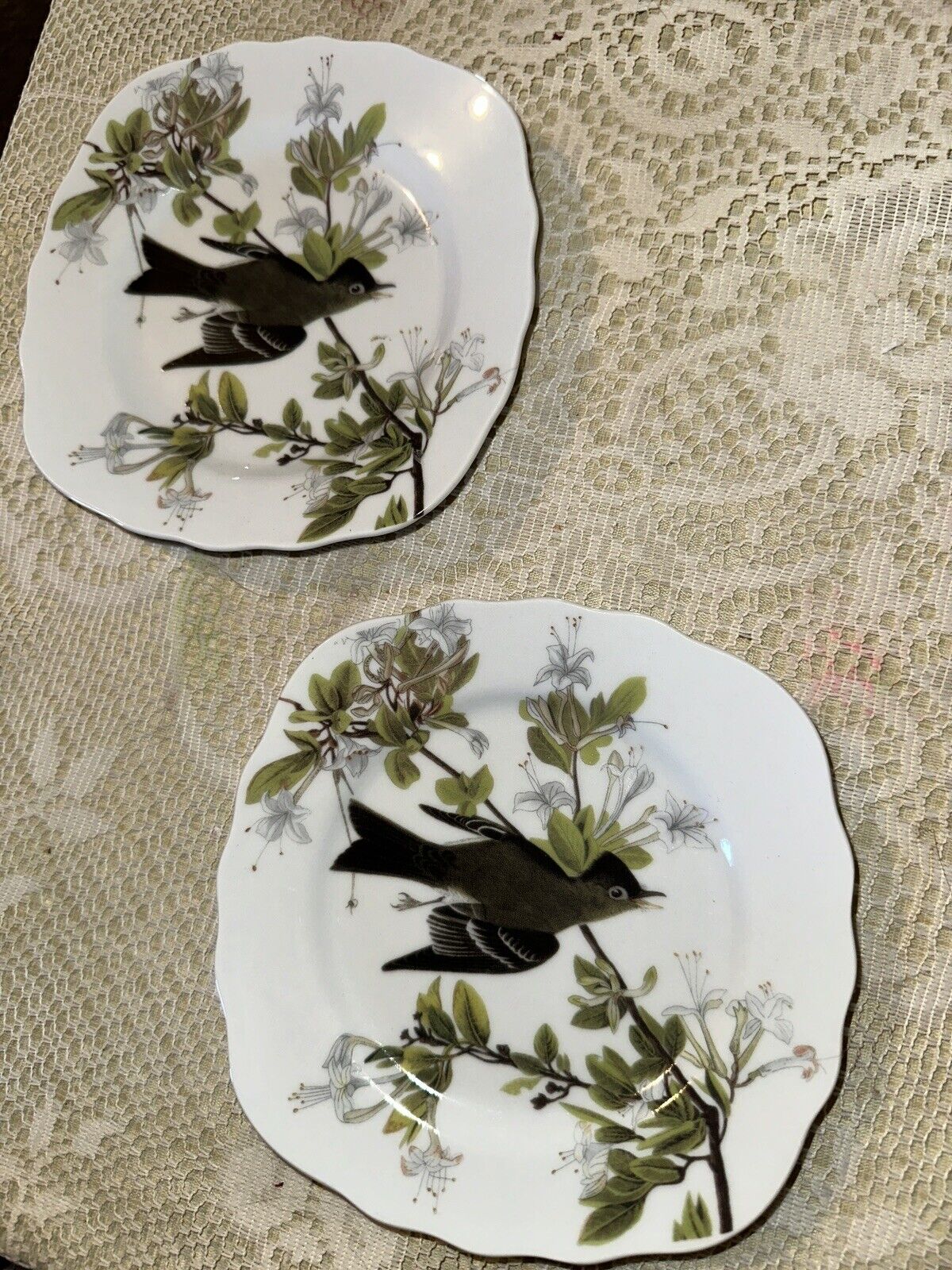2 National Audubon Society Bird Plates 6” Eastern Wood Pewee Godinger 2010