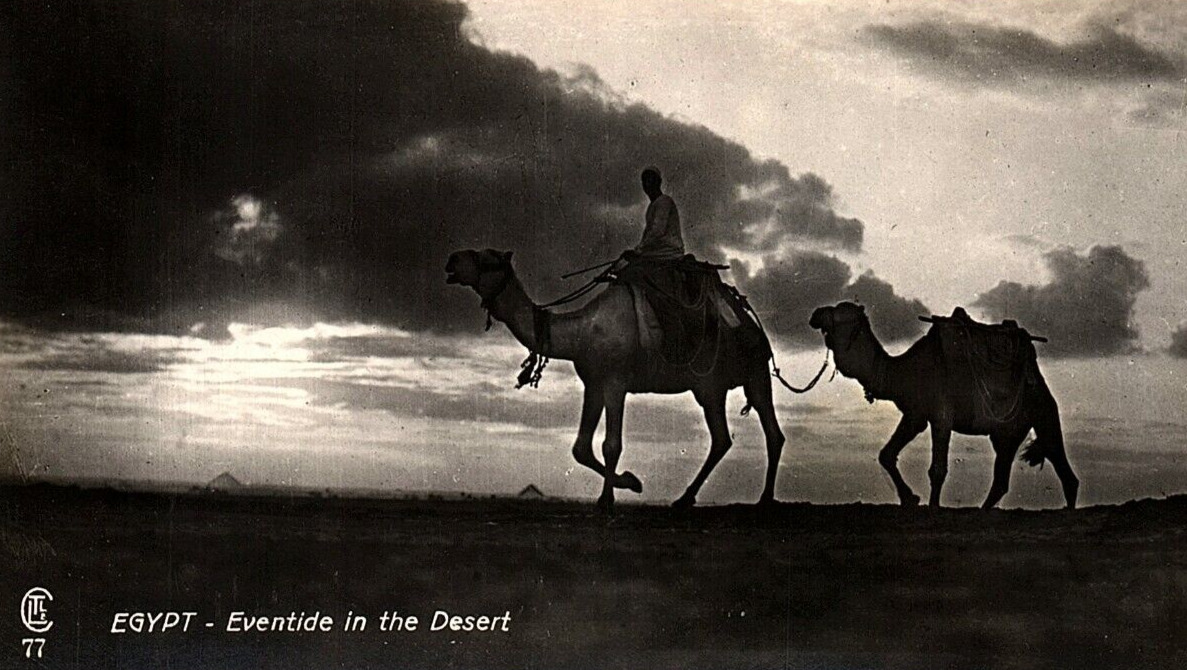 1920s CAIRO EGYPT EVENTIDE IN THE DESERT PHOTO RPPC POSTCARD P1684
