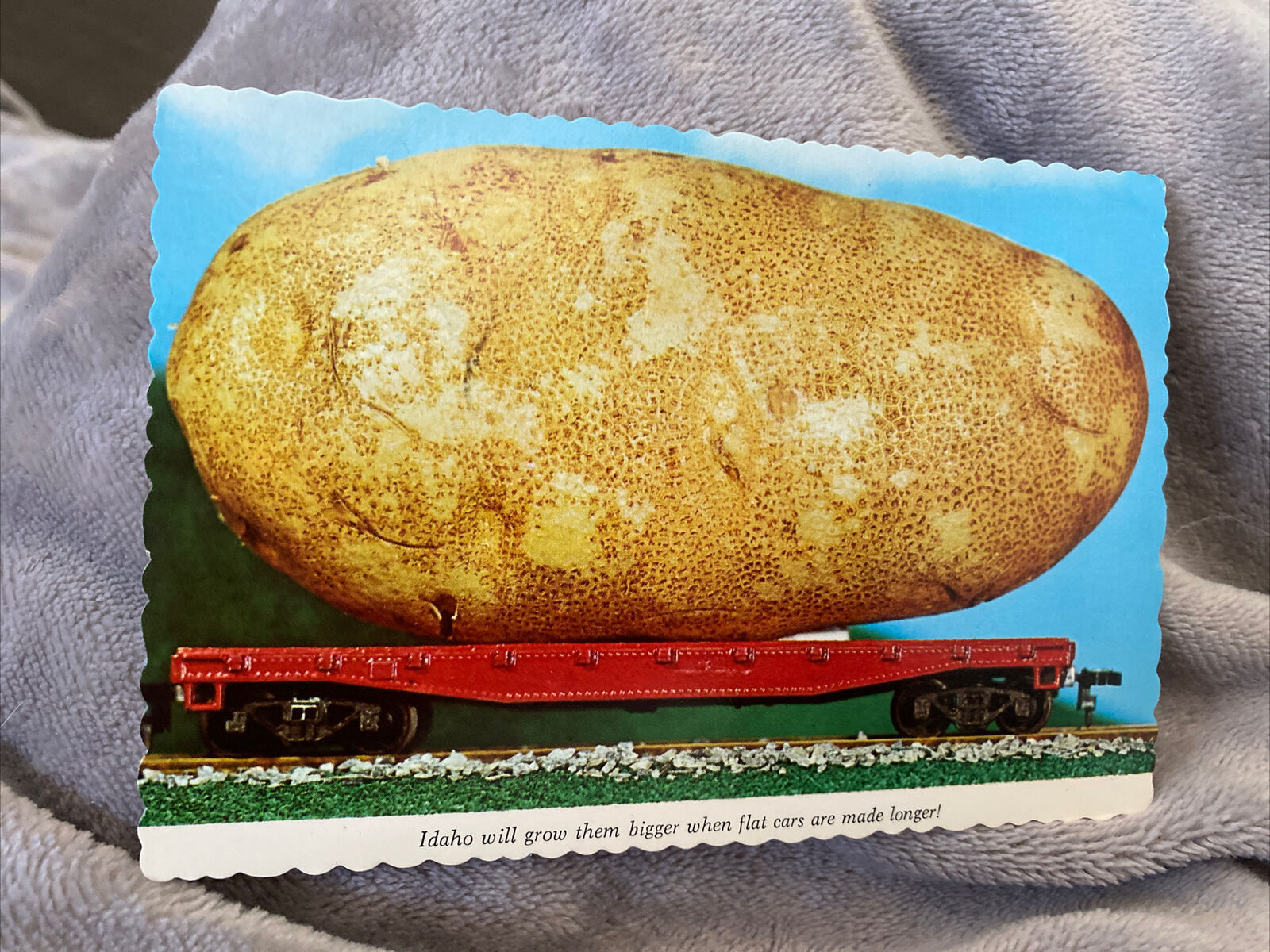 VINTAGE Funny Idaho Potato Souvenir Postcard | Unused