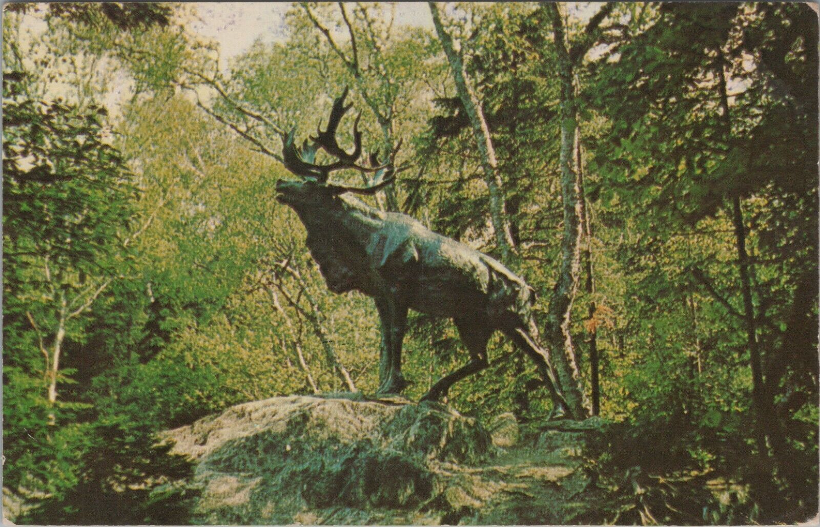 Caribou in Bowring Park St. John\'s Newfoundland Posted Chrome Vintage Post Card