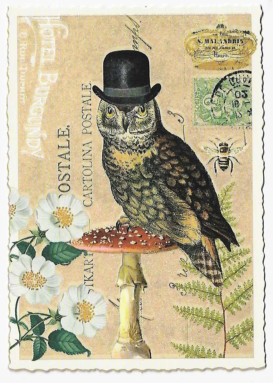 Postcard Glitter Tausendschoen Dapper Owl Top Hat Mushroom Postcrossing