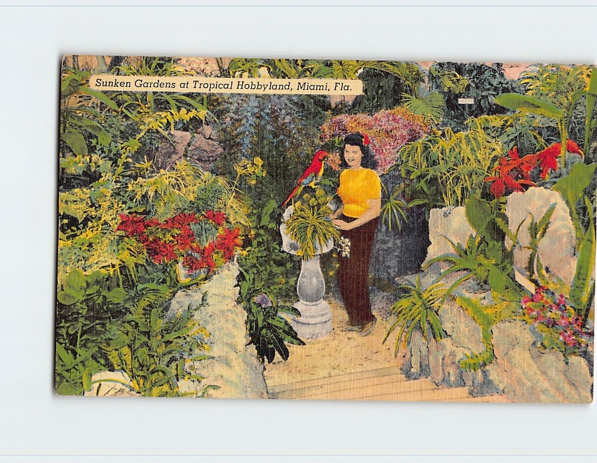 Postcard Sunken gardens at Tropical Hobbyland Miami Florida USA