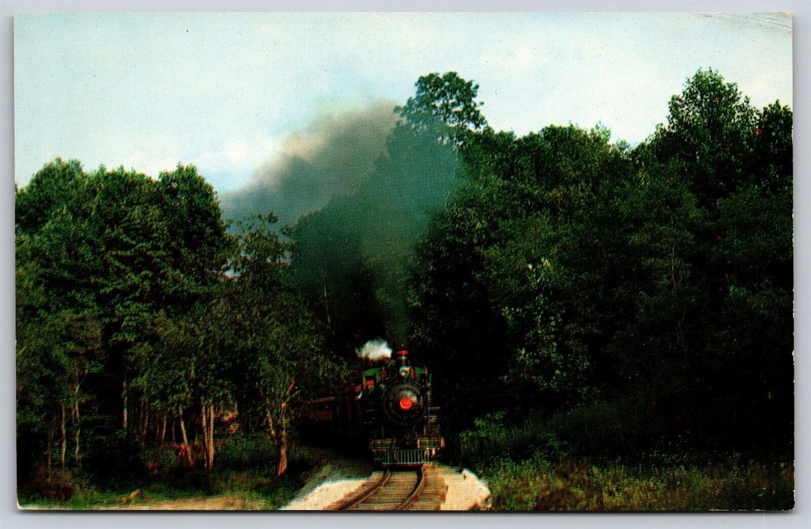 Postcard Tweetsie Railroad Emerging from Wooded Area Hwy 221 & 321 NC P107