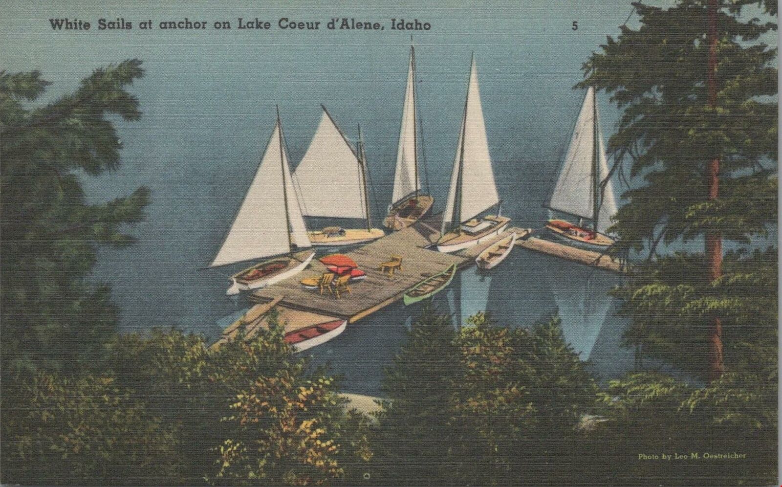 Postcard White Sails at Anchor on Lake Coeur d\'Alene Idaho ID 