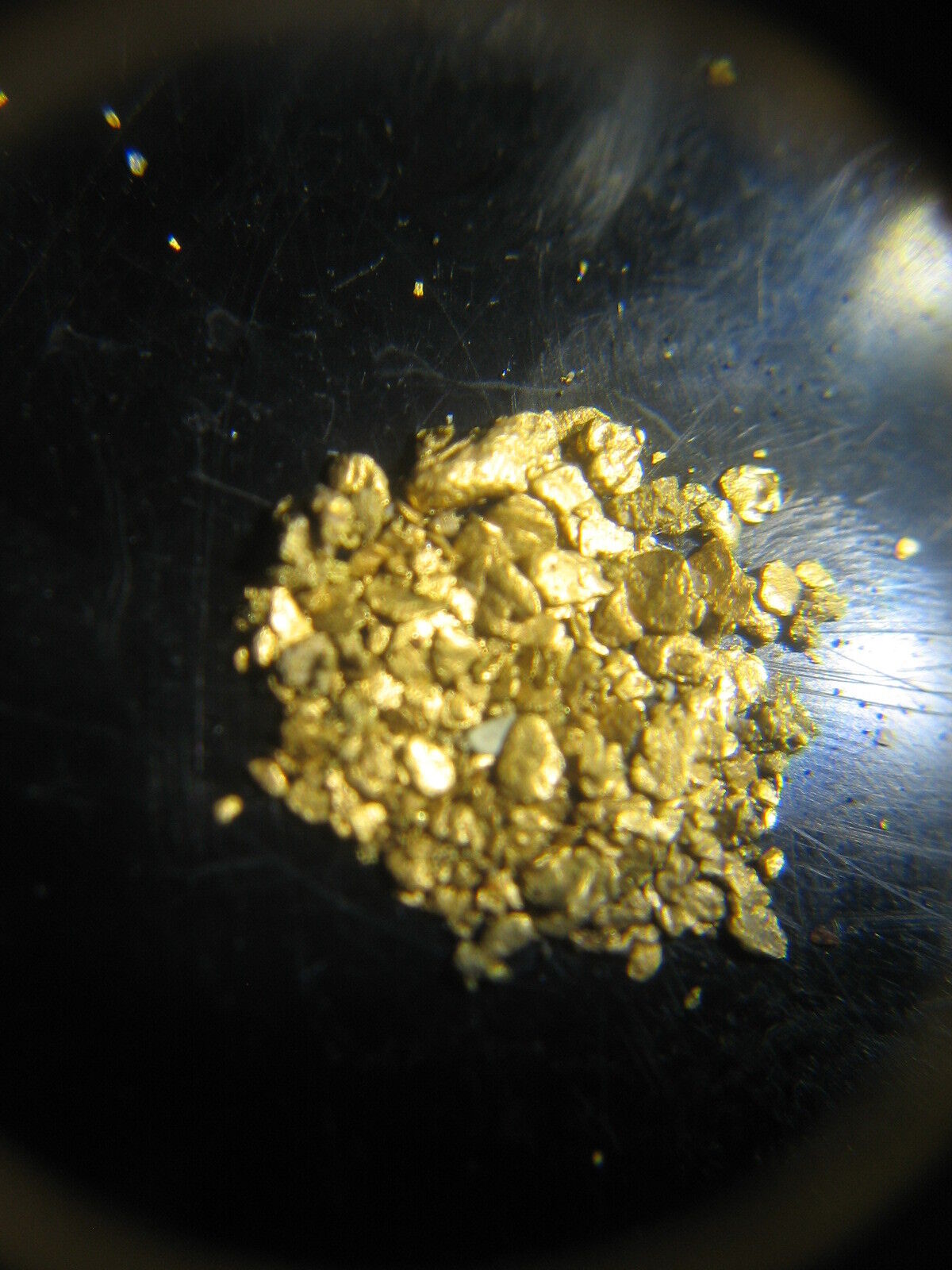 1 LB GOLD NUGGET RICH %100 UNSEARCHED PAY DIRT 8
