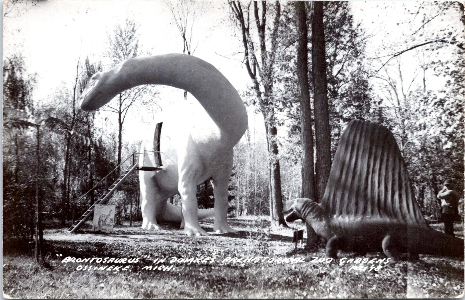 RPPC Brontosaurus, Domkes Dinosaur Gardens, Ossineke, Michigan- Photo Postcard