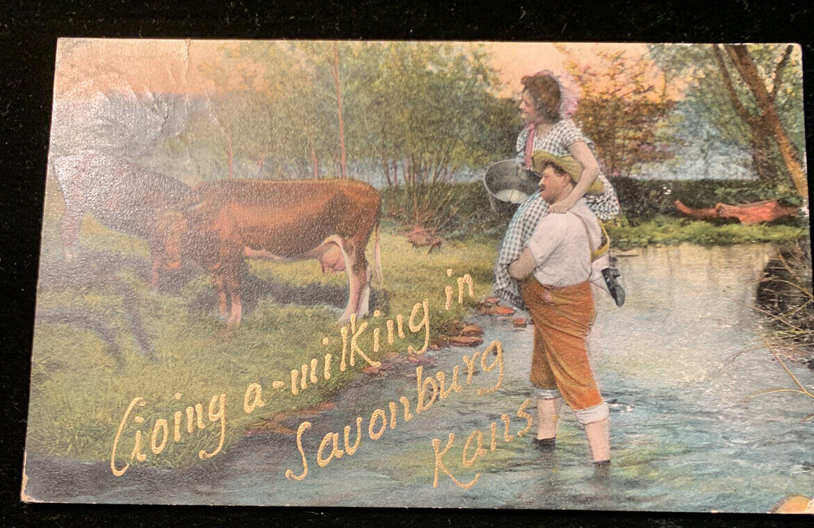 Going A Milking In Savonburg, Kansas Man  Carries Woman 1909 Postcard