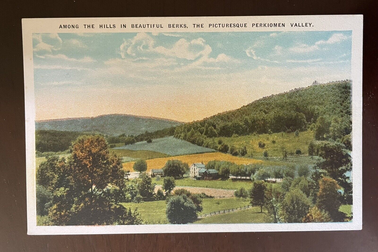 Perkiomen Valley Birdseye Berks View Pennsylvania Vintage Postcard