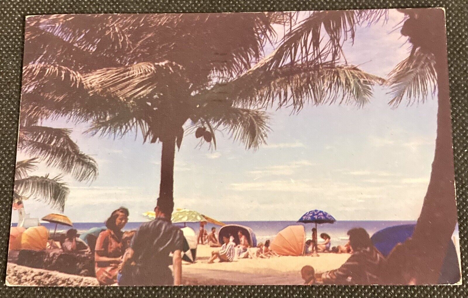 Miami Beach, FL Vintage Postcard Tropical Paradise Under the Sun