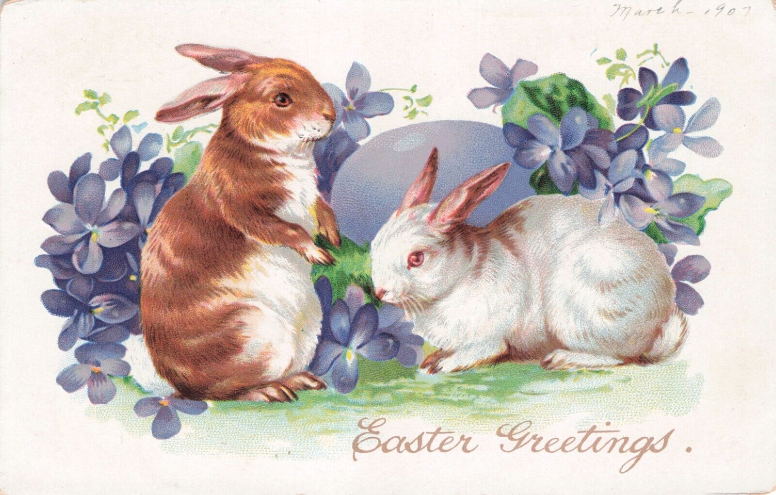 Vintage Artist Postcard Easter White & Brown Bunny Rabbits Bunnies Tuck c 1907
