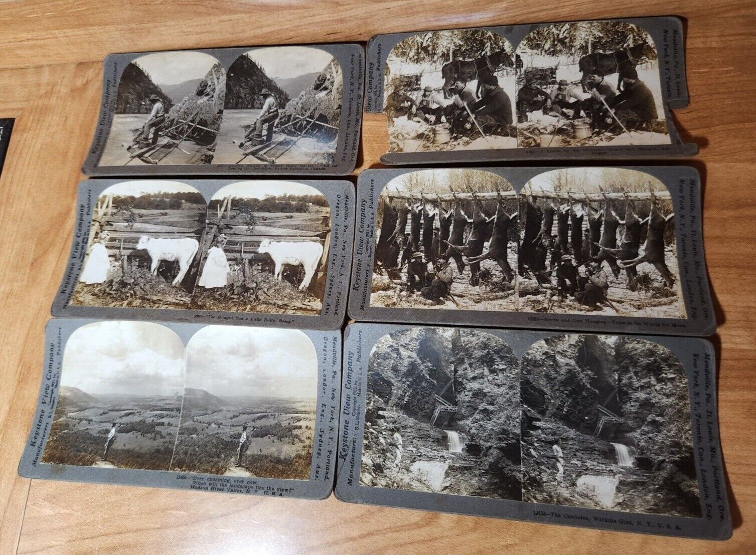Vintage Stereograph Cards (6) Various, NY, Canada and Hungary