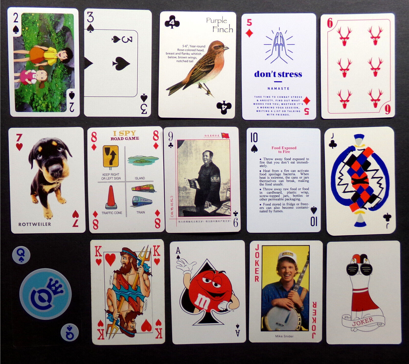 ODD PLAYING CARD LOT: 15x Rare Poker Singles Set Modern Vintage Retro Art Animal